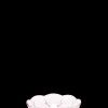 Sale Lily Isasiet Ø16 cm cherry blossom | Køb her Desserttallerkener Og Isasietter|Stel